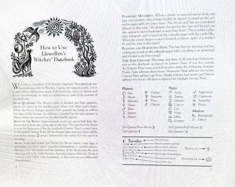 Llewellyn's Witches' Datebook 2025 #17