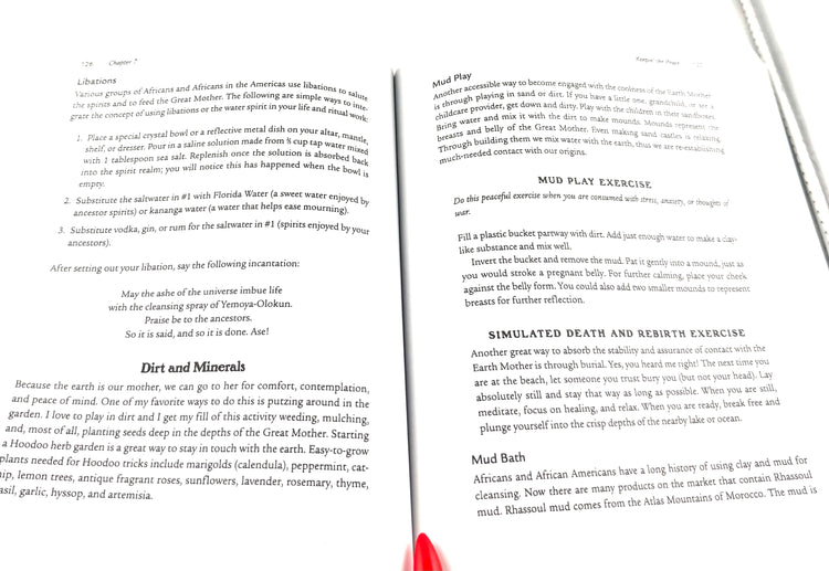 Sticks, Stones, Roots & Bones by Stephanie Rose Bird