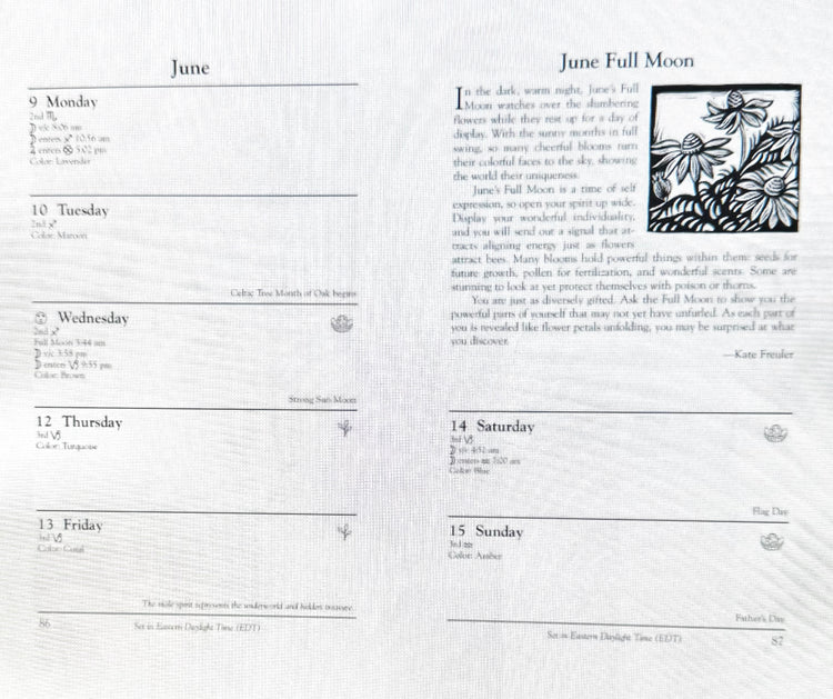 Llewellyn's Witches' Datebook 2025 #17