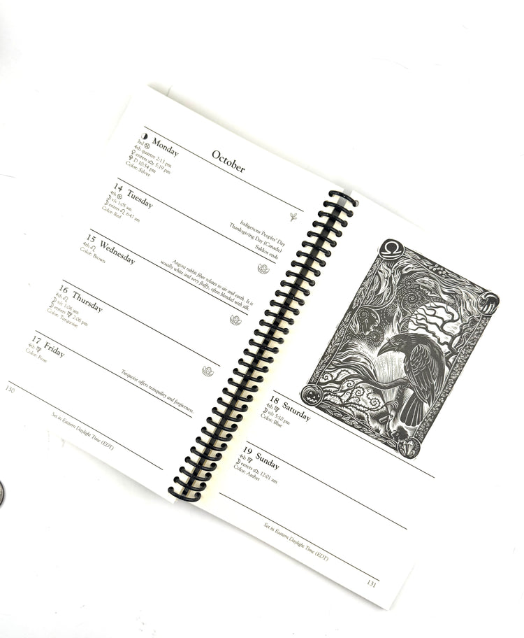 Llewellyn's Witches' Datebook 2025 #17