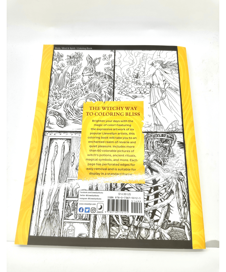 Llewellyn's Witch's Coloring Book