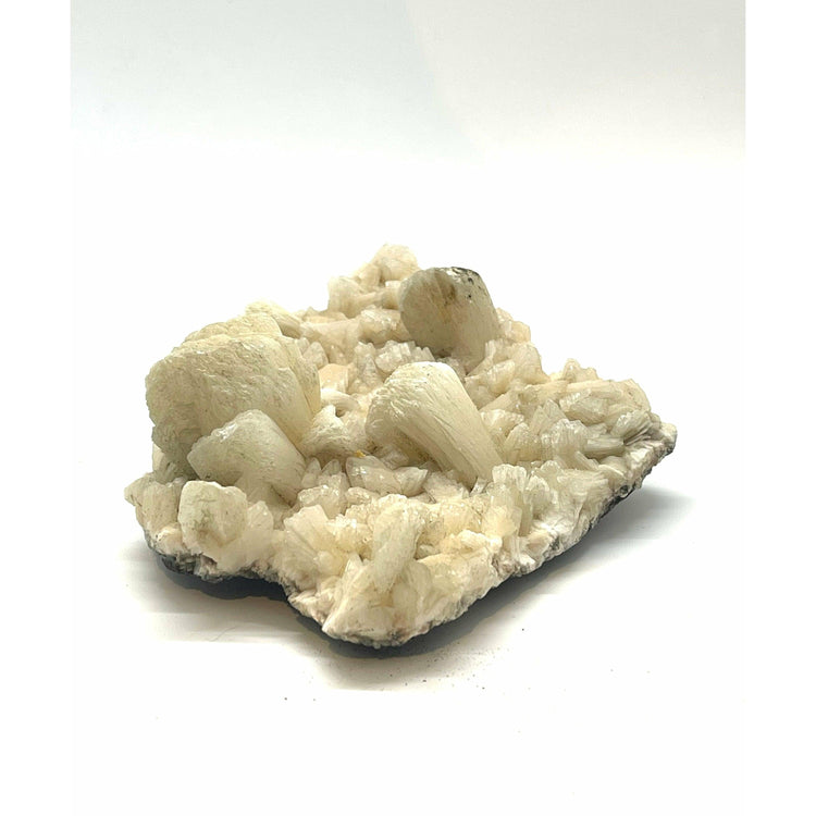 Zeolite free form