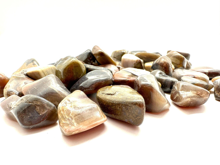 Petrified Wood Tumbled Stone