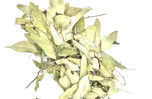 Dried Eucalyptus Leaves 1oz bag