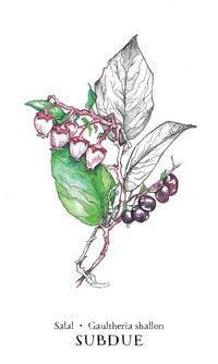 Hedgewitch Botanical Oracle by Siolo Thompson