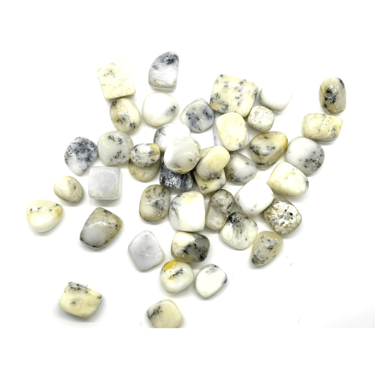 Dendrite Opal Tumbled Stone