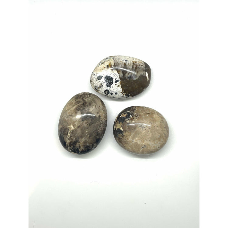Light Gray Black MoonStone Gallet