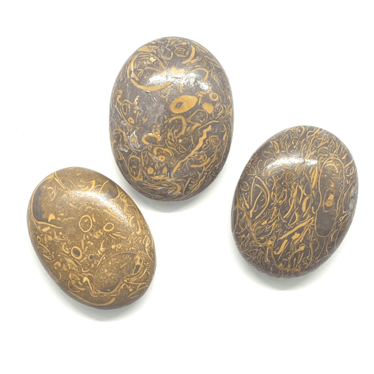 Calligraphy Stone Palm Stone