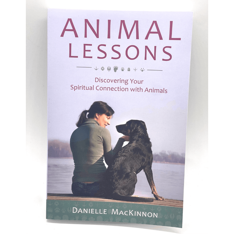 Animal Lessons by Danielle Mackinnon