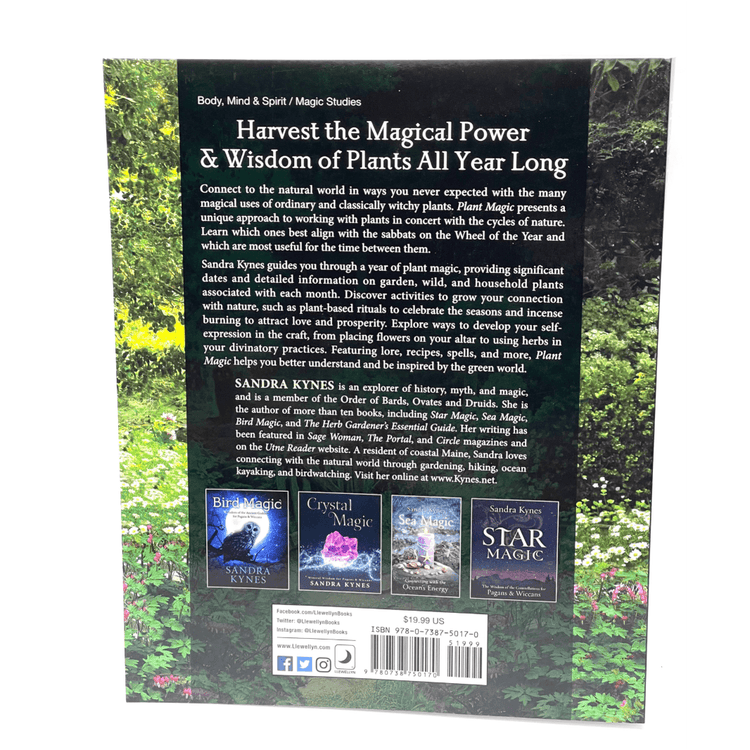 Plant Magic By Sandra Kynes