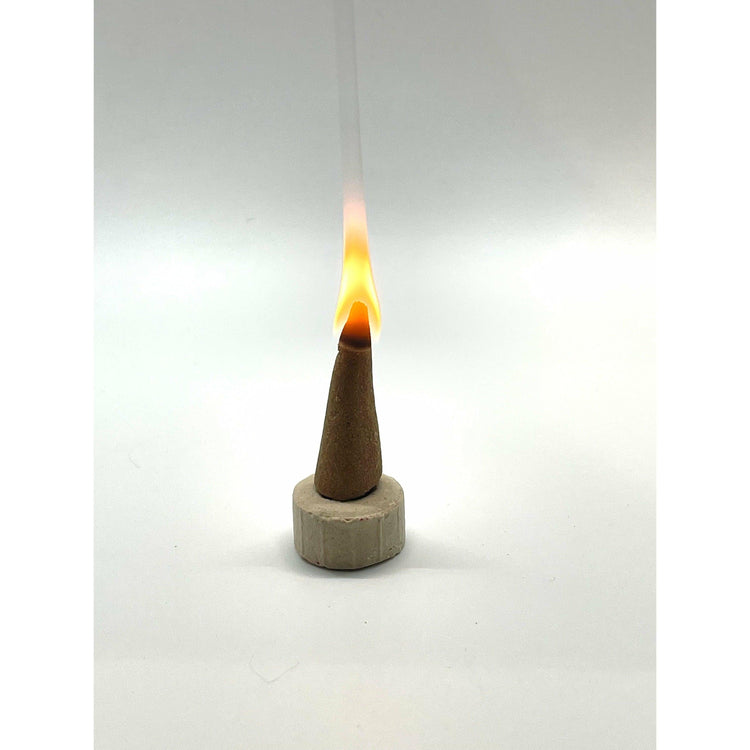 Incense: Satya Nag champa Cones