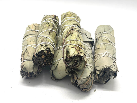 Smudge: Eucalyptus Bundle
