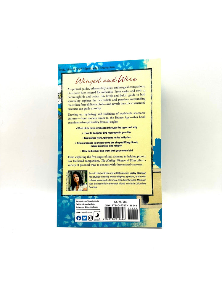 The Healing Wisdom of Birds by Lesley Morrison