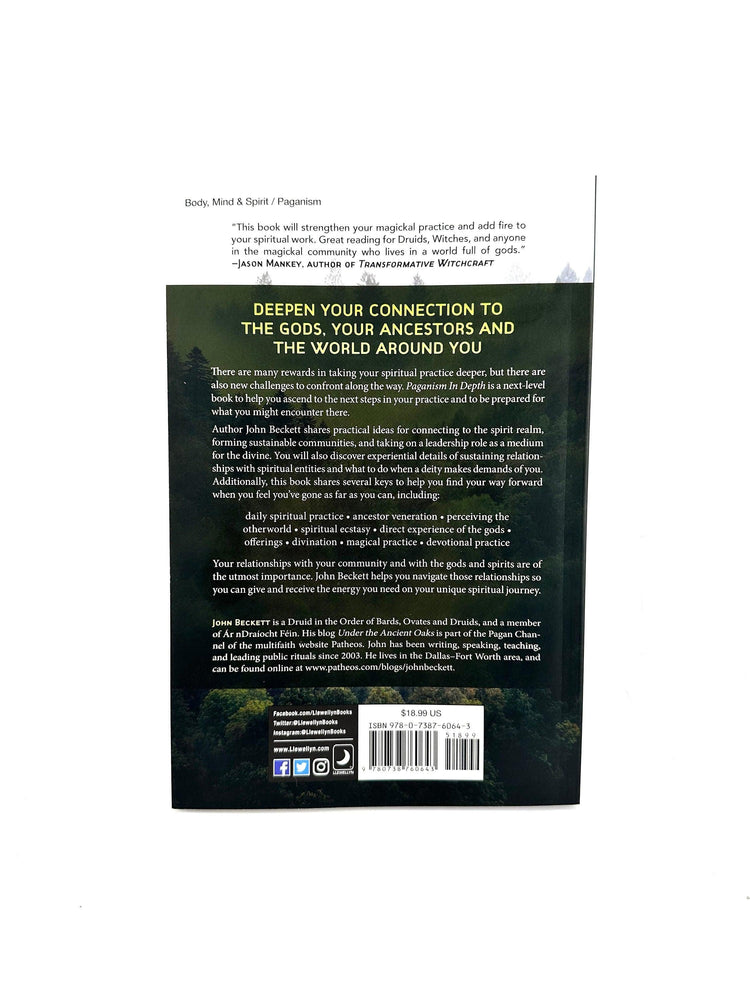 Paganism in Depth by John Beckett