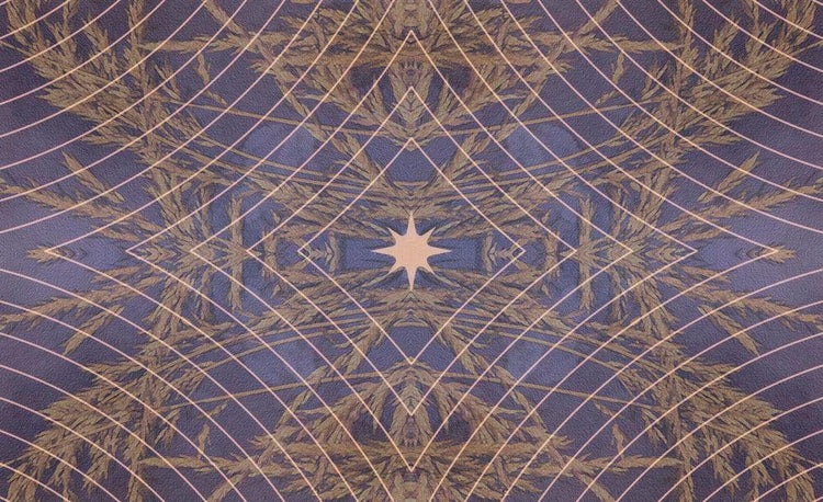 Horse Wisdom Oracle by Kathy Pike & Laurie Prindle