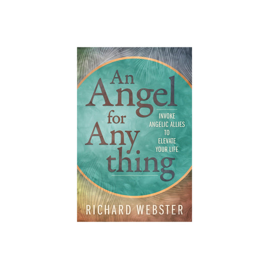 An Angel for Any thing by Richard Webster