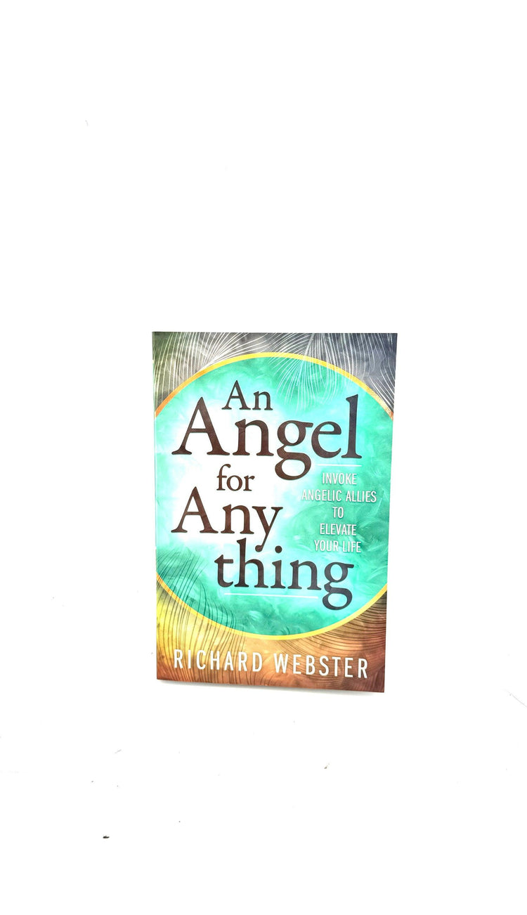 An Angel for Any thing by Richard Webster