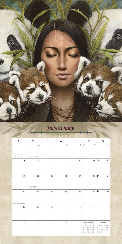 Llewellyn's 2025 Wild Woman Rising Calendar