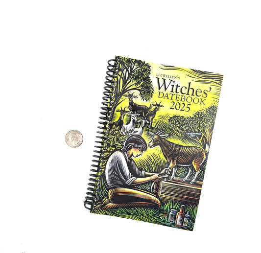 Llewellyn's Witches' Datebook 2025 #17