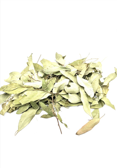 Dried Eucalyptus Leaves 1oz bag