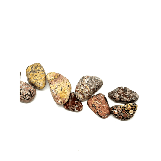 Leopard Skin Jasper Tumbled Stone