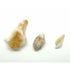 Beige Citrine Raw Stone