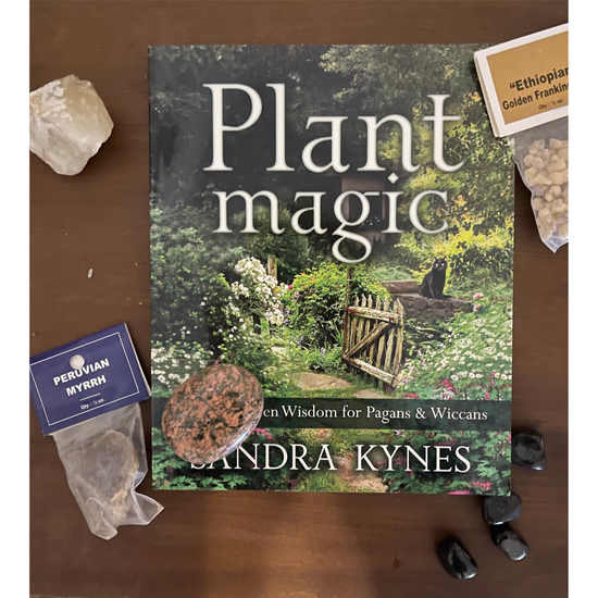 Plant Magic By Sandra Kynes