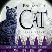 Dark Slate Gray The Enchanted Cat