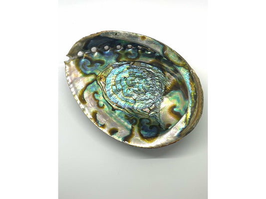 Abalone Shell Ritual Bowl