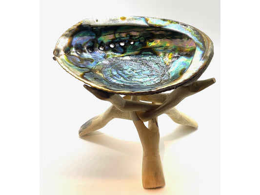 Abalone Shell Ritual Bowl