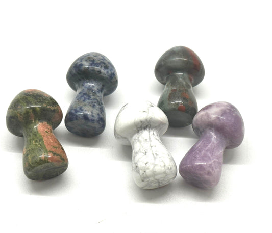 Gemstone Mushrooms