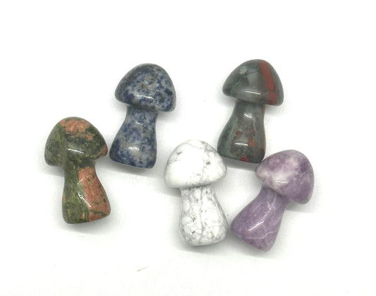 Gemstone Mushrooms