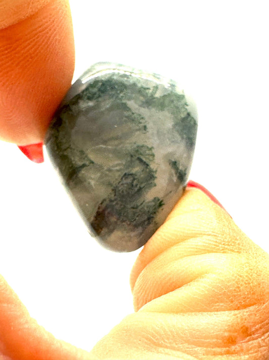 Moss Agate Tumbled Stone