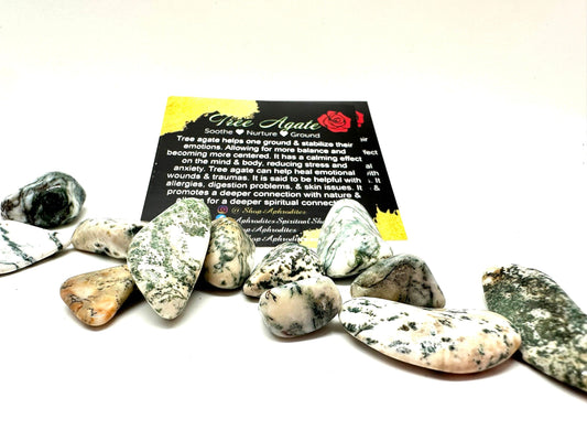 Tree Agate Tumbled Stone