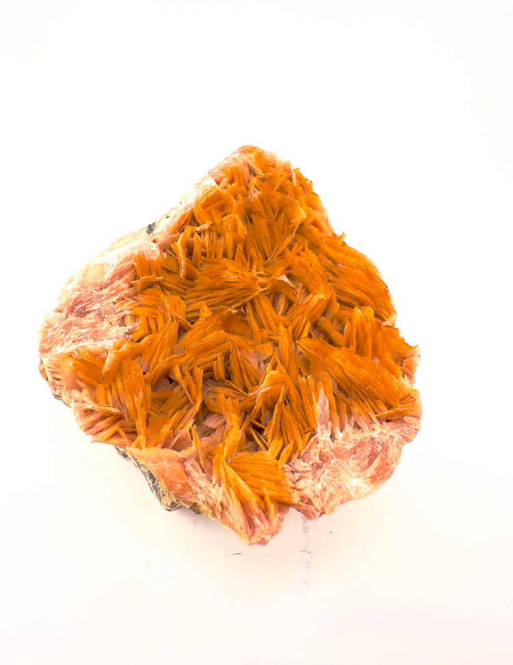 Morocco Specimens: Barite w/ Vanadinite *Multiple Variations, Very Rare*