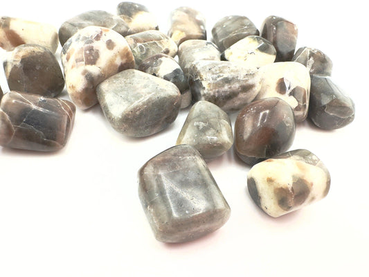 Polarity Moonstone Tumbled Stone