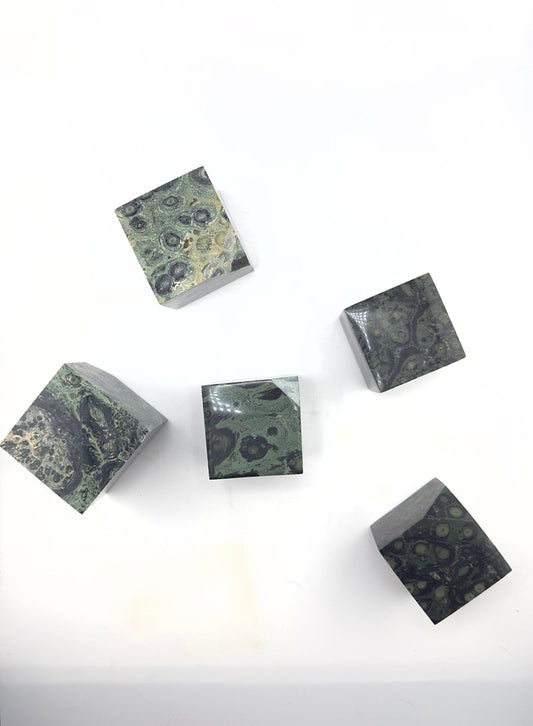 Kambaba/ Crocodile Jasper Cubes