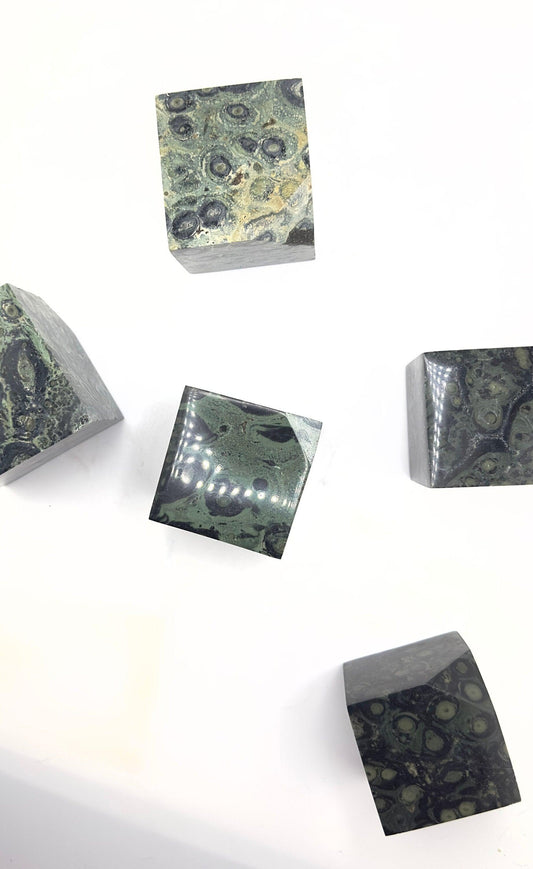 Kambaba/ Crocodile Jasper Cubes