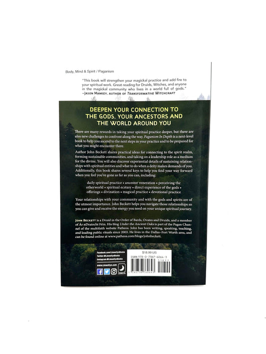 Paganism in Depth by John Beckett